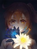 流金夜色
