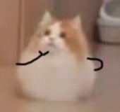 cc