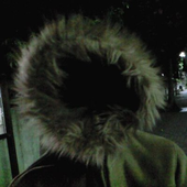 hachi