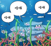 一喵球