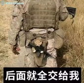 腌黄瓜罐头