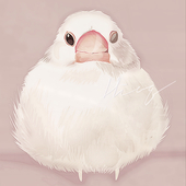ハイヲク