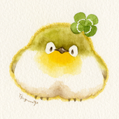 まきつぐみ（旧ちゅうこ）