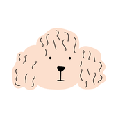 新名