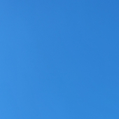 鯖
