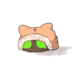 Tora