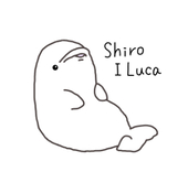 ShiroILuca
