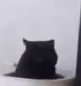 霁奂