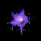 堕華