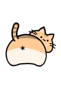 小青沢