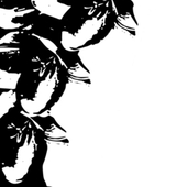とり