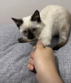 阿銘銘銘銘銘