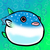 野生のmegu