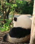 一筆一畵