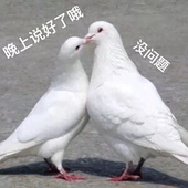 锅勺"新年好...”