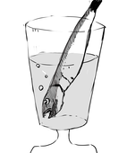 麦茶いわし