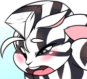 ZebunnyParadise