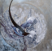 Shadowscapes