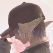 桓zone