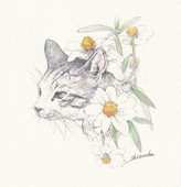 栞甫