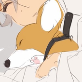 ル