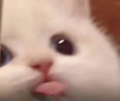 米菓