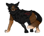 Acornpelt