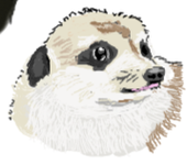 サビギミック