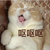 姜姜姜