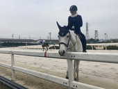 室長室長