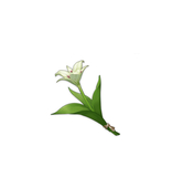介木莲