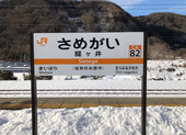 サメガイェフスキー（バートリ）