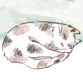 ゆすら