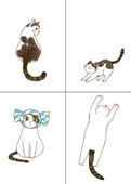 き