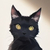 麦猫仔（２代目）