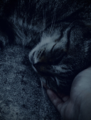 睡眠負債