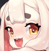 GomoGomo