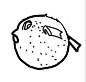 氣泡魚