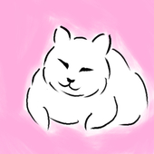 美女模写図録