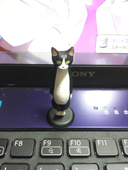 まぐ