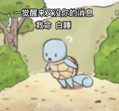 云泽猫猫