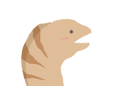 うつぼ