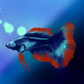 海里