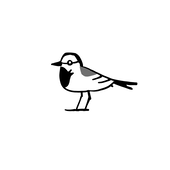 別鳥