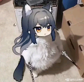 1xCatfish