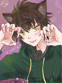 猫仔猫　