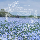 膤 _ NEMO
