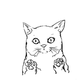 ハチネコ🐝🐈