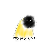 k/k