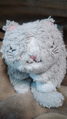 とことこ
